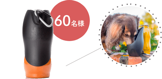 ステンレスボトルの画像