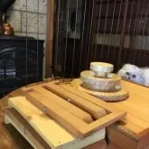 ミヌエット(長足)【福島県・女の子・2025年6月30日・チンチラシルバー】の写真9