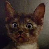 トイボブ【長野県・女の子・2020年11月24日・ブラックスモーク】の写真2