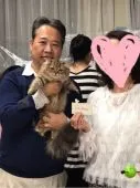 スコティッシュストレート【大阪府・男の子・2018年5月26日・】の写真2「キツンの部でキャットショーデビュー」