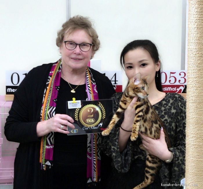 キャットショーにて　Vickie Fisher(TICA 元CEO) とRW SGC LAKSHMI｜中川　加奈子(なかがわ　かなこ)ブリーダー(大阪府・ベンガル・TICA/DCC登録)の紹介写真1