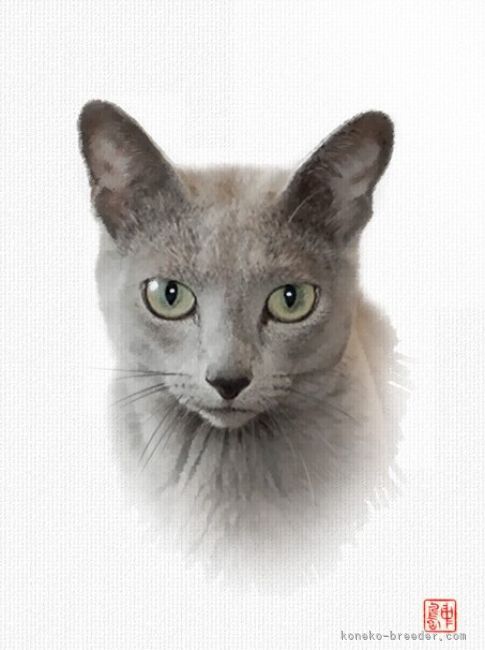 稲葉充ブリーダー