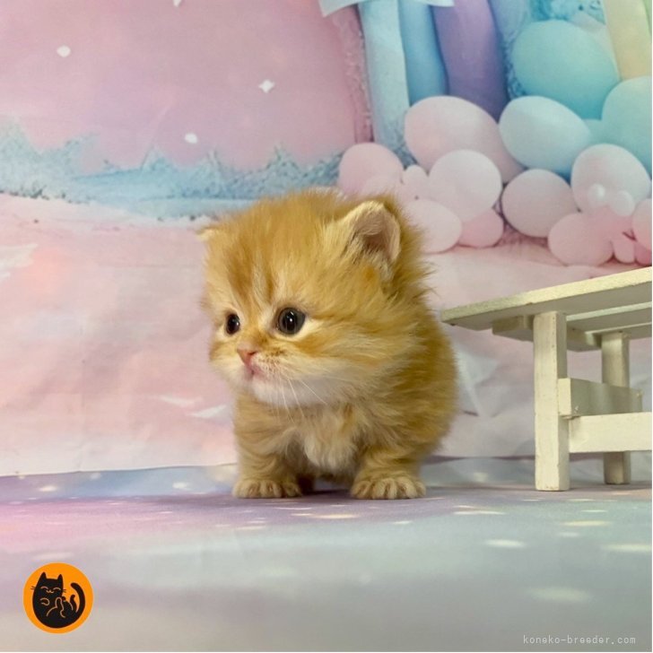 ブリーダー画像