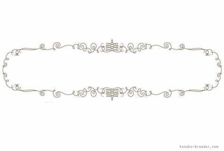 ミヌエット【・女の子・2024年8月31日・ブラウンパッチドタビー&amp;ホワイト】