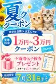 マンチカン(短足)【千葉県・女の子・2026年5月11日・ホワイト系/三毛（キャリコ）】の写真2