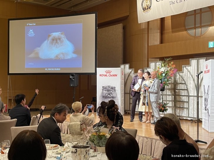 2024〜2025CFA 3位いただけました｜大曽根　千恵(おおそね　ちえ)ブリーダー(埼玉県・エキゾチックショートヘアなど・国内血統書登録)の紹介写真7