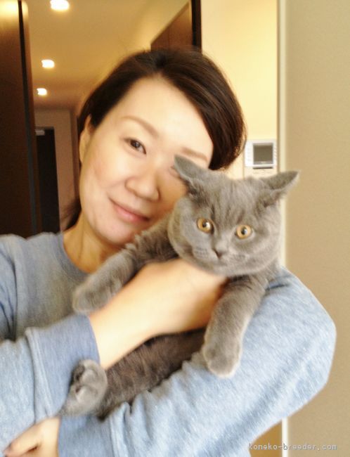 諸木　亜希子(もろき　あきこ)ブリーダー(東京都・ブリティッシュショートヘア・TICA登録)の紹介写真3