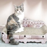 スコティッシュストレート