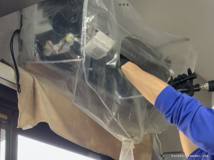 冨岡利枝ブリーダーのブログ：エアコン洗浄✨