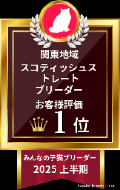 板敷　直紘(いたしき　なおひろ)ブリーダー(千葉県・スコティッシュフォールドなど・JCC（旧ACC）/(DCC) ※TICA傘下クラブ/JDCC登録)の紹介写真7