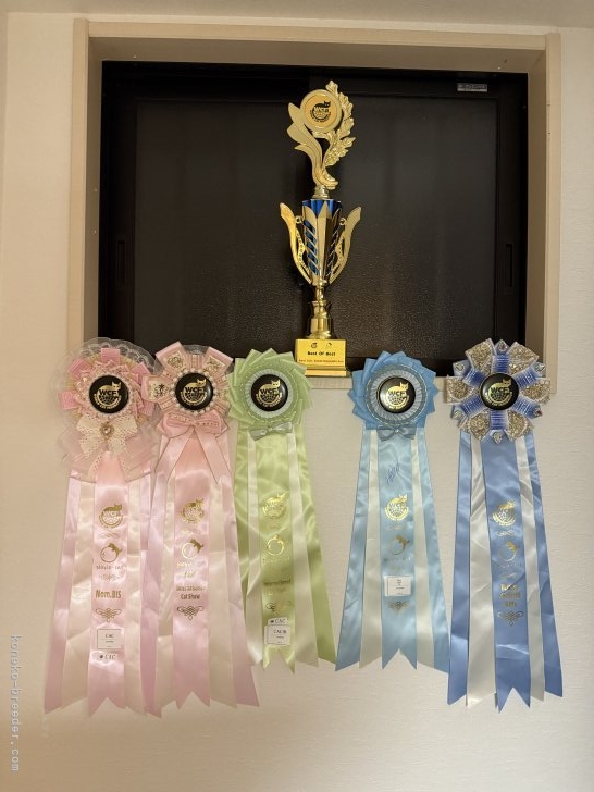 徐海洋ブリーダーのブログ：Japan National Winner 2025（RAG） 第一位