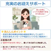 マンチカン(長足)【東京都・男の子・2025年2月11日・ブラック系/ブルー・シルバー系】の写真11