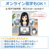 ミヌエット×アメリカンショートヘア【東京都・男の子・2024年12月16日・シルバータビー】の写真9