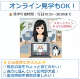 ラグドール【東京都・男の子・2024年10月9日・シールポイントバイカラー】の写真8