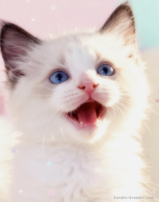 松下千春ブリーダー