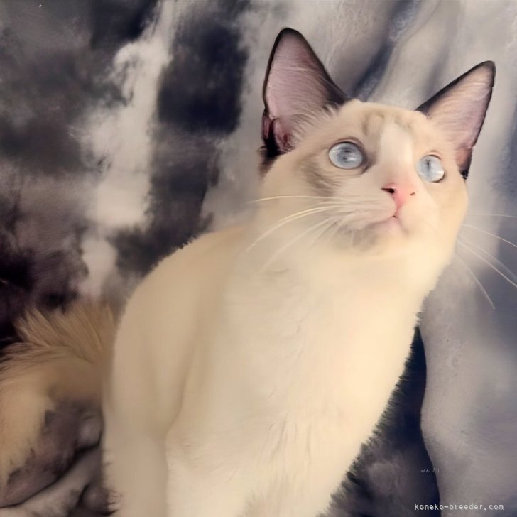 ブリーダー画像