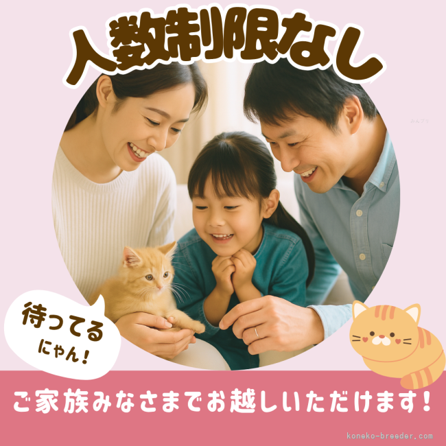 キッズスペースあり！🐶🍀お子様もお気軽にお越しいただけます🐱✨｜渡邊　舞(わたなべ　まい)ブリーダー(千葉県・マンチカンなど・ZCC登録)の紹介写真9