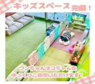 マンチカン(短足)【千葉県・男の子・2025年3月21日・シルバータビー】の写真12「【キッズスペース完備👶🧸】小さなお子さま連れでも安心♪ご家族でお気軽に見学にお越しください✨」