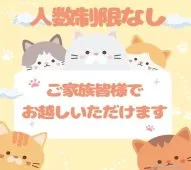 アメリカンショートヘア【千葉県・男の子・2026年4月9日・ホワイト系/クリーム系】の写真13「ご家族みんなでご来店いただけます👪人数制限はありませんので皆さんでお越しください💖」