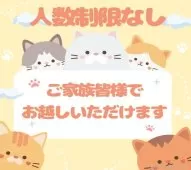 ノルウェージャンフォレストキャット【千葉県・女の子・2025年4月13日・ブルータビー&ホワイト】の写真14「ご家族みんなでご来店いただけます👪人数制限はありませんので皆さんでお越しください💖」