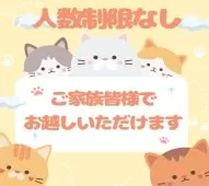 ノルウェージャンフォレストキャット【千葉県・男の子・2025年6月20日・ブルー&ホワイト】の写真14「ご家族みんなでご来店いただけます👪人数制限はありませんので皆さんでお越しください💖」