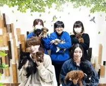 マンチカン(長足)【千葉県・男の子・2025年4月9日・シルバータビー】の写真15「みんなネコちゃんが大好き💖大切にお世話した子猫ちゃんをお迎えください😊」