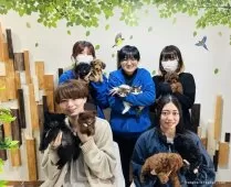 ミヌエット(短足)【千葉県・男の子・2025年11月9日・ブラック系/ブラウン系】の写真15「みんなネコちゃんが大好き💖大切にお世話した子猫ちゃんをお迎えください😊」