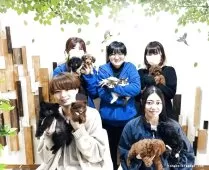 マンチカン(長足)【千葉県・女の子・2025年3月1日・トーティ】の写真15「みんなネコちゃんが大好き💖大切にお世話した子猫ちゃんをお迎えください😊」