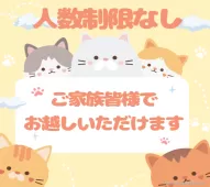 ミヌエット(短足)【千葉県・男の子・2025年2月4日・シルバータビー】の写真9「ご家族みんなでご来店いただけます👪人数制限はありませんので皆さんでお越しください💖」