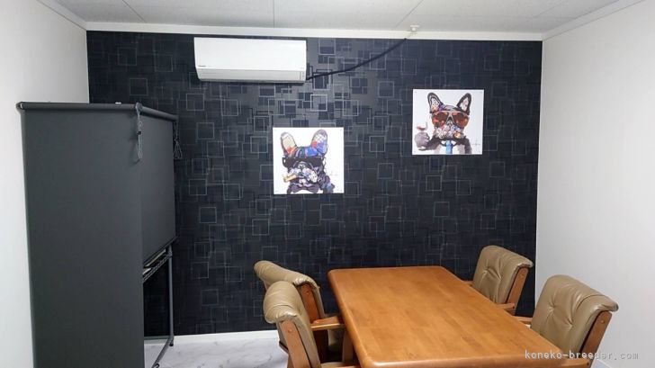 商談室です(^^)｜浅井　豊(あさい　ゆたか)ブリーダー(愛知県・ベンガル・ICC登録)の紹介写真8