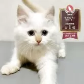 サイベリアン
