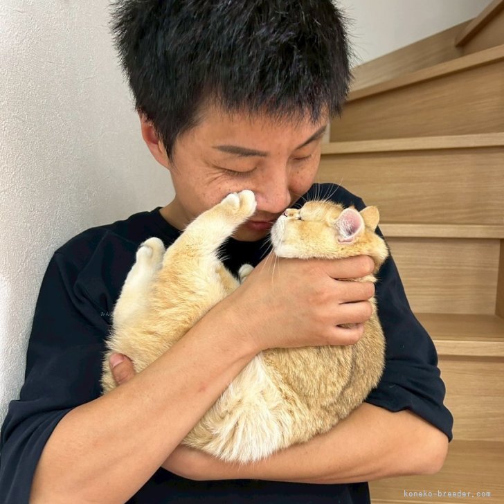 金海奇聖ブリーダー