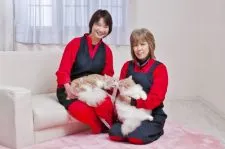 ノルウェージャンフォレストキャット【三重県・女の子・2016年9月1日・レッドタビー&ホワイト】の写真5「✿お客様へは、健康で丈夫な人馴れした猫さんを安価で提供させて頂きたいと思います。」