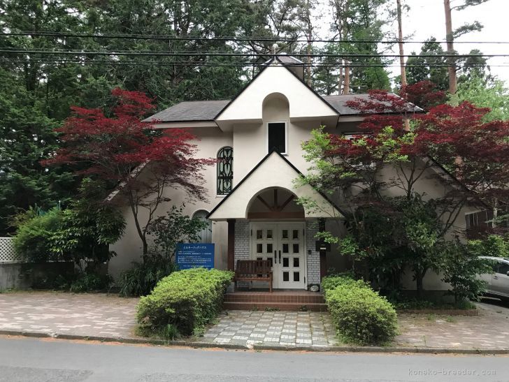 ハウスは自然豊かな河口湖にあります。｜田中　京子(たなか　きょうこ)ブリーダー(山梨県・スコティッシュフォールドなど・ICC登録)の紹介写真1