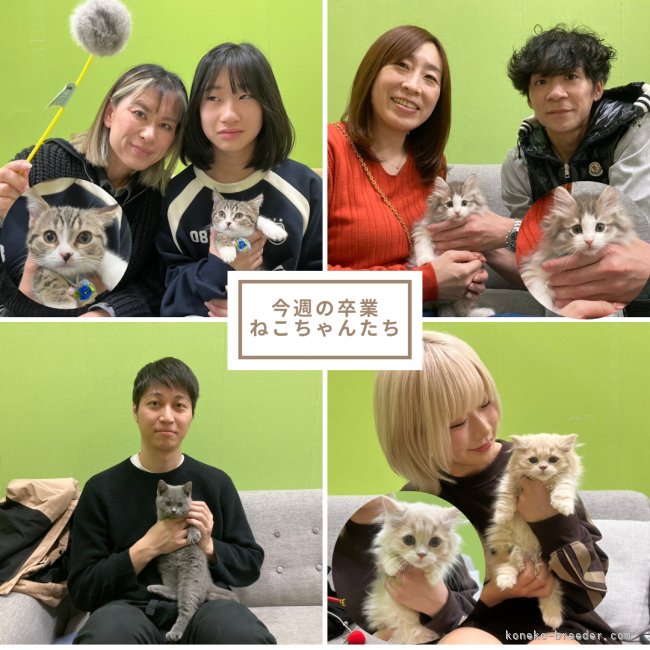 朝比奈杏奈ブリーダーのブログ：家族が決まり🐱💕