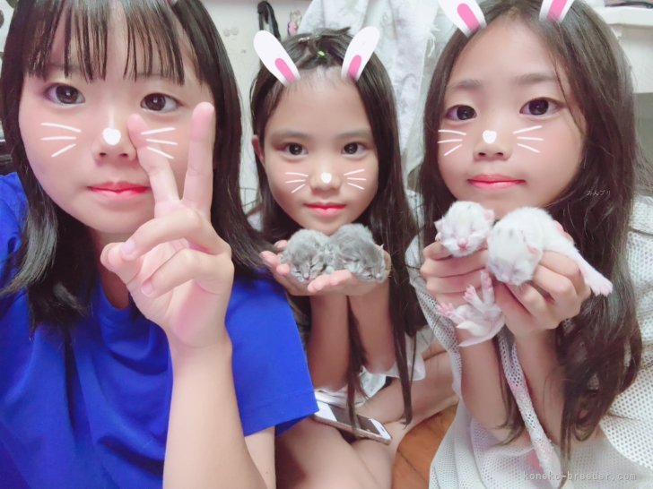 小浜清乃ブリーダー