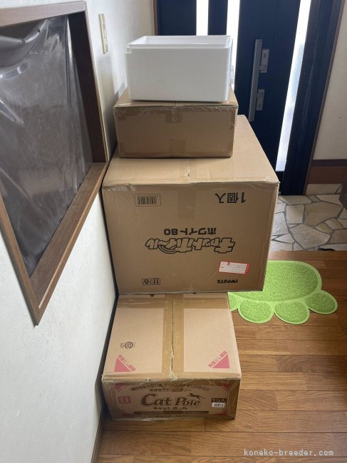 山井龍己ブリーダーのブログ：気に入ってくれるかしら♪