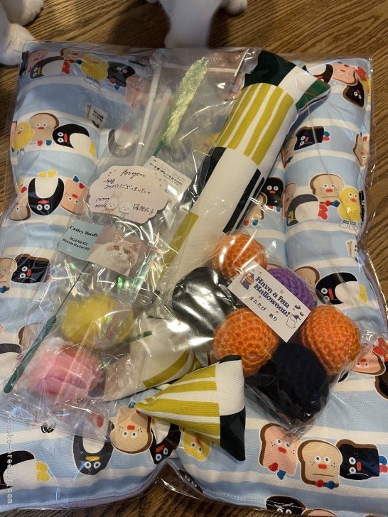 篠原弘子ブリーダーのブログ：引き渡しのプレゼント