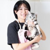 アメリカンショートヘア【・女の子・2022年5月9日・シルバータビー】「ずっしりがっちりタイプです😆！」