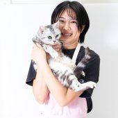 アメリカンショートヘア【・女の子・2022年5月21日・シルバータビー】「背は高いですが厚みのない体をしています☺️」