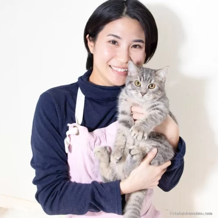 ID:2409-02131の子猫