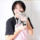 スコティッシュフォールド(立ち耳)【神奈川県・男の子・2025年3月12日・シルバーマッカレルタビー】の写真2