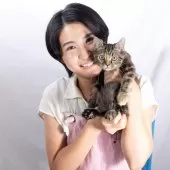 スコティッシュフォールド(立ち耳)【神奈川県・女の子・2025年4月26日・トータシェル】の写真6