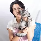 スコティッシュフォールド(立ち耳)【神奈川県・男の子・2025年4月26日・シルバーマッカレルタビー】の写真11