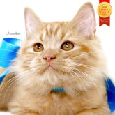 マンチカン(長足)