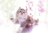 ラガマフィン
