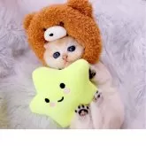 ブリティッシュショートヘア