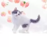 ラガマフィン