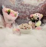 スコティッシュフォールド(立ち耳)【宮崎県・男の子・2022年10月10日・クリームタビー&ホワイト】の写真2