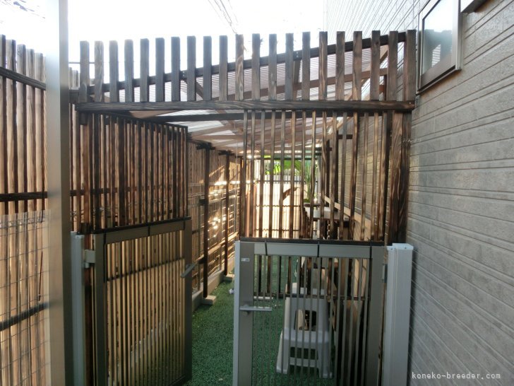 吉村　健児(よしむら　けんじ)ブリーダー(福岡県・ミヌエット・ACC/JCC（旧ACC）登録)の紹介写真4